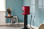 40 ��� ������������� �����. Dynaudio ����������� ��������� ����� Special Forty